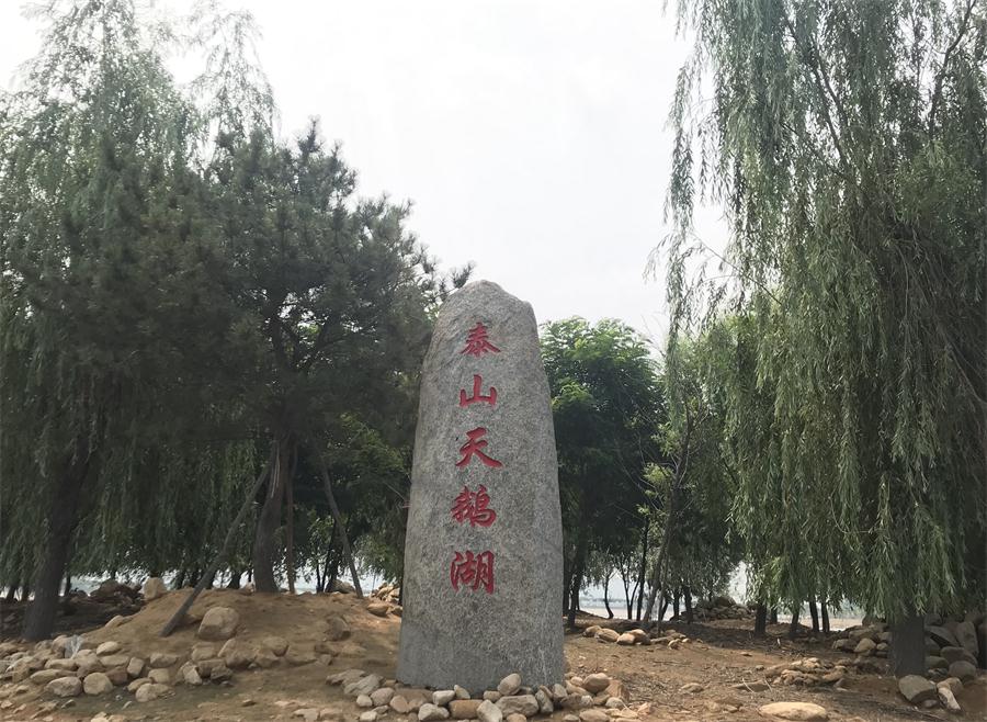 天鵝湖風(fēng)景區(qū)（泰山）速覽！(圖12)