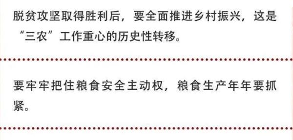 2020年中央農(nóng)村工作會議精神速覽！(圖2)