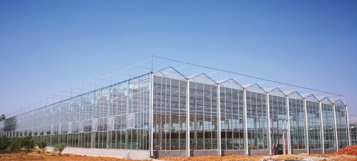 信橋鋼構(gòu)：打卡蒙陰農(nóng)業(yè)溫室大棚、青州黑牛養(yǎng)殖基地！(圖2)